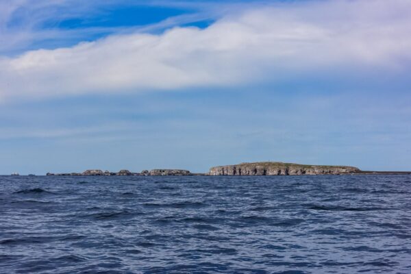 Islas Marietas Biosphere Reserve – Boat trip FEB/22/2025